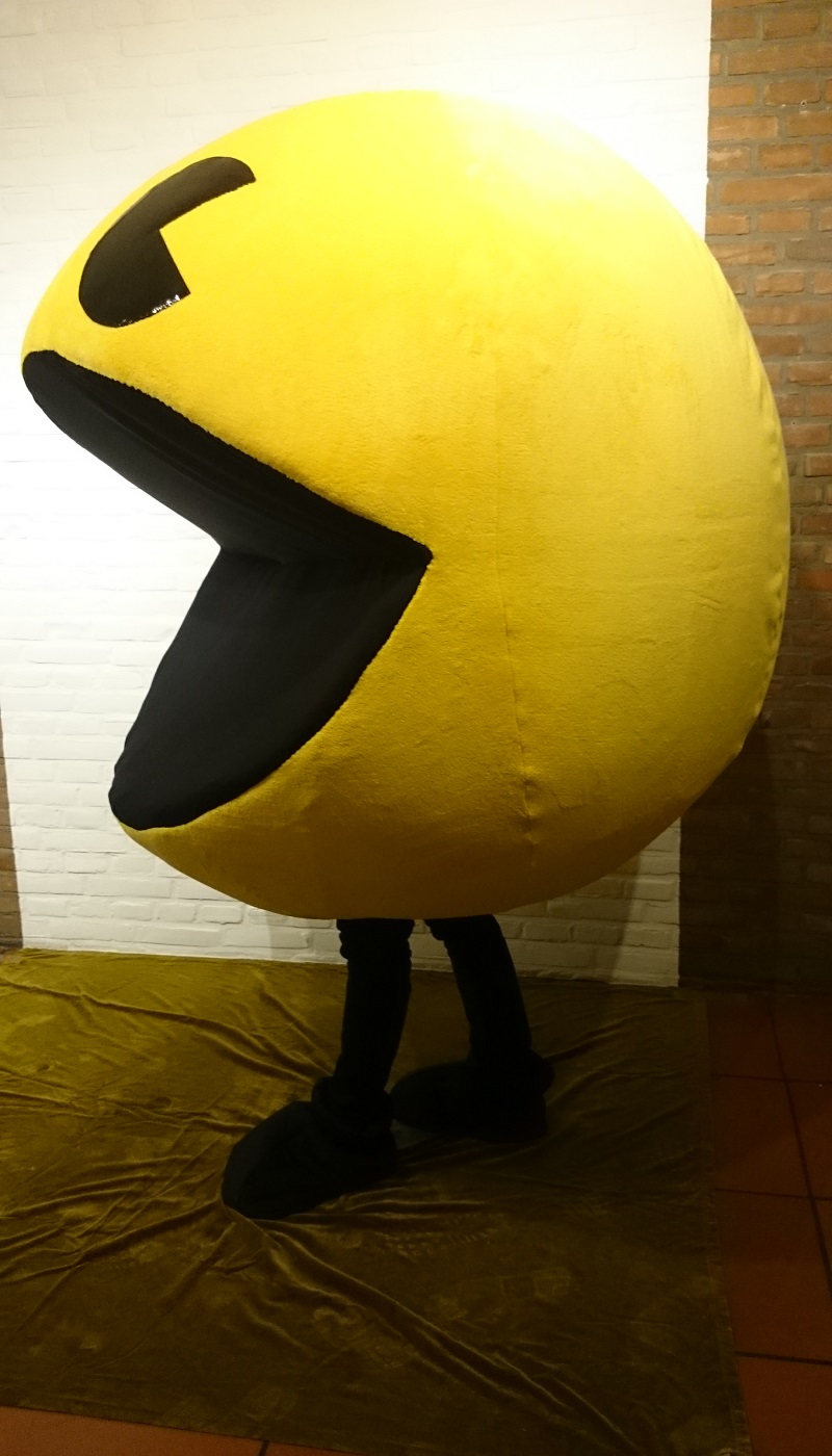 Kostüm von Wunschgestöber